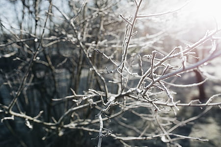 Winter freeze thumbnail
