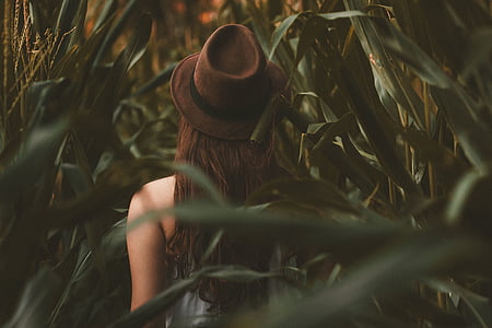woman standing in the middle of the corn field thumbnail