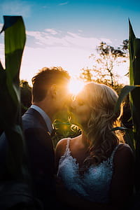 man and woman kissing in corn field during golden hour thumbnail