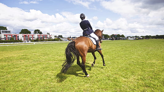 person riding horse on green field thumbnail