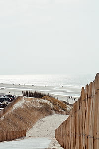 landscape photography of firewood fenced road through seashore thumbnail