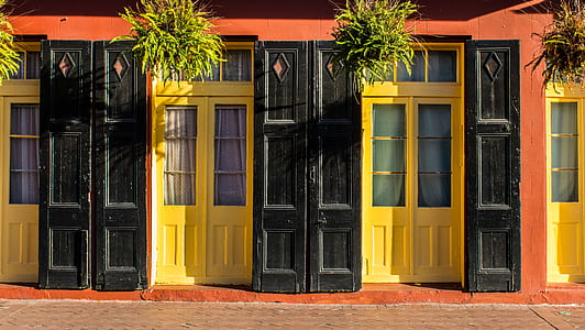 four green leafed plants hanged in front of doors thumbnail