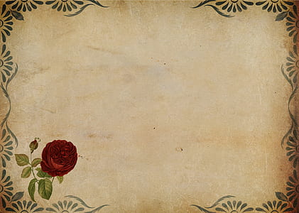 white, red, and black floral frame thumbnail