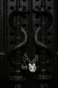 black metal snake embossed door lock with two gray padlocks thumbnail