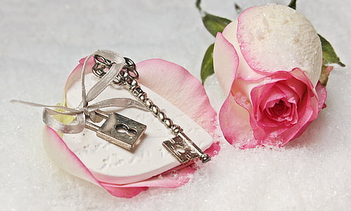 pink rose petal with padlock and key beside pink rose flower thumbnail