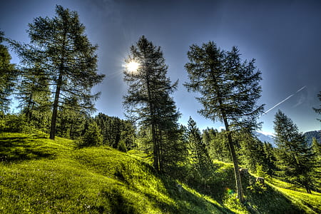 landscape, mountains, nature, sky thumbnail