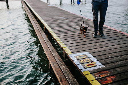 Wooden pier by the lake thumbnail