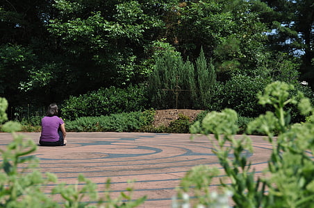 woman wearing purple top sitting on brown surface looking on green tree thumbnail