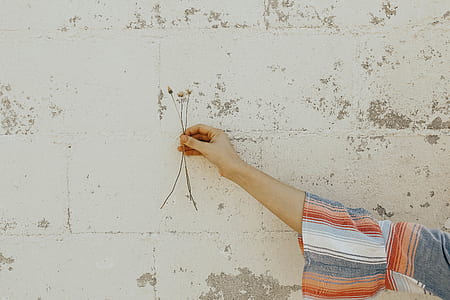 person holding white flowers during daytime thumbnail