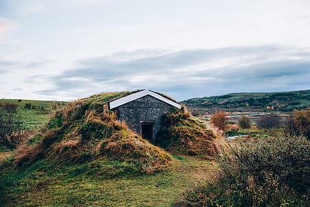 A foliage covered hut on a grassy hill in Iceland thumbnail