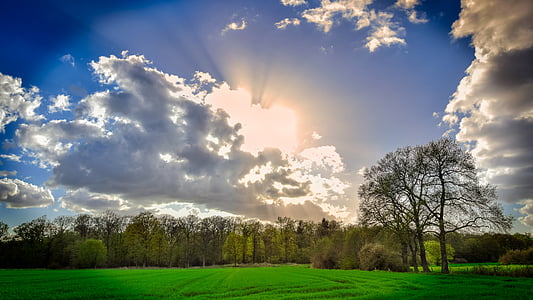 green grass under sunrise thumbnail