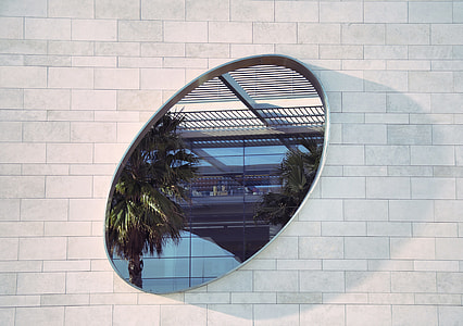 photo of two green palm trees with oval frame thumbnail
