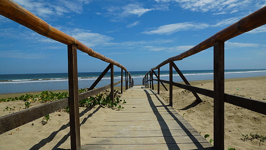 brown wooden bridge near sea under blue sky thumbnail