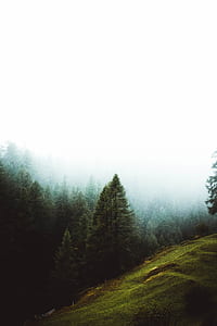 landscape photography of green mountains surrounded by green trees thumbnail