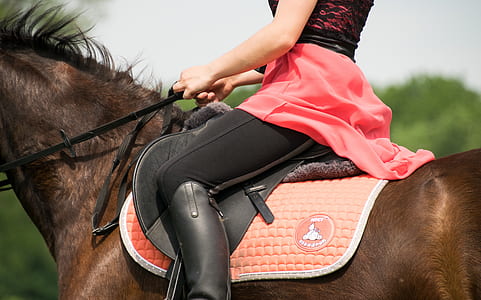 woman riding brown horse at daytime thumbnail