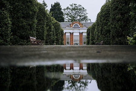 macro photo white and orange mansion thumbnail