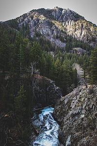 mountain surrounding trees thumbnail