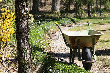 wheelbarrow on forest thumbnail
