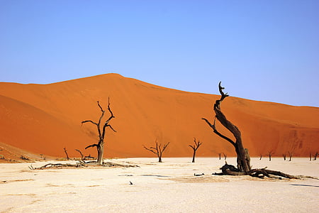 Sahara desert thumbnail