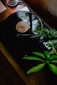 close-up photography of black turntable thumbnail