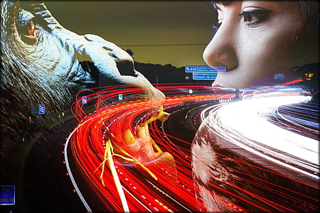 monkey and woman wallpaper thumbnail