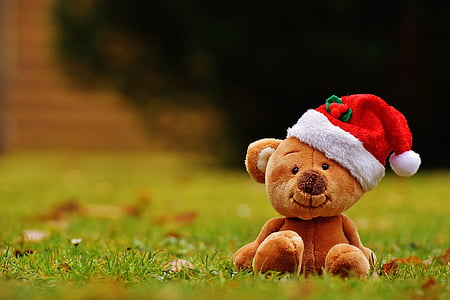 brown bear plush toy on grass thumbnail