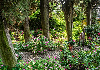 assorted-color flowers and trees thumbnail