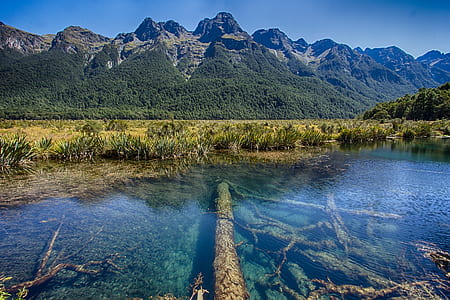 photo of body of water and green mountains thumbnail