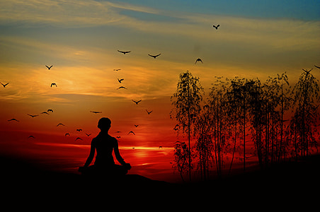 silhouette of meditating person on hill with trees and flying birds thumbnail