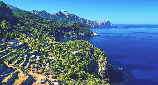 green trees on cliff thumbnail