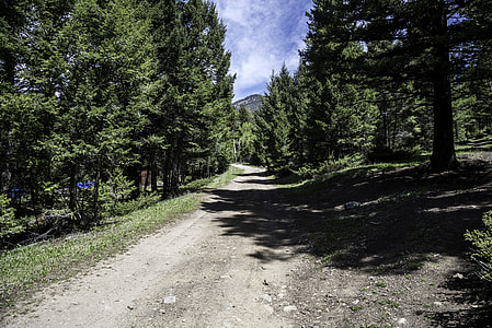 Start of the Mountain trail in Elkhorn, Montana thumbnail