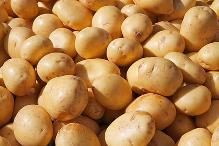 bunch of potatoes thumbnail