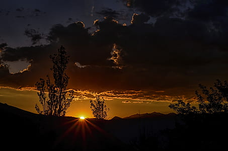 sunset and silhouette of trees thumbnail