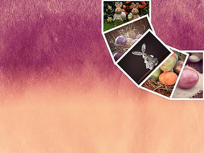 assorted-color-and-pattern photo graphic art thumbnail