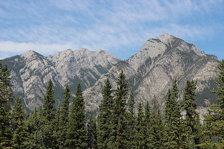mountains, nature, sky, forest thumbnail