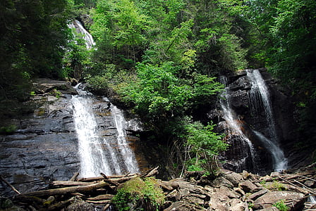 waterfalls between trees thumbnail