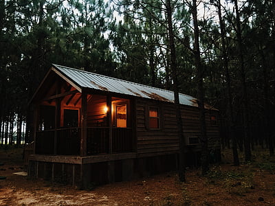 cabin in forest thumbnail