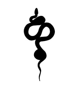 Illustrated silhouette of a snake on white background. thumbnail