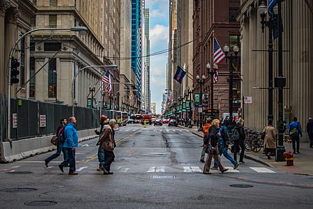person walking on pedestrian lane thumbnail