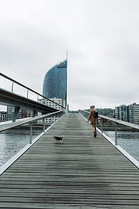 Woman Walking on Bridge With Tricolor Beagle thumbnail