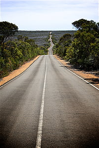 empty road in between tree lines at daytime thumbnail