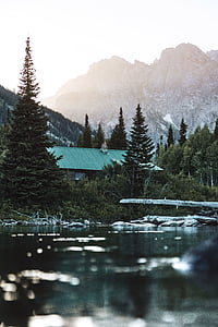 green-roofed house between tall trees near calm body of water at daytime thumbnail