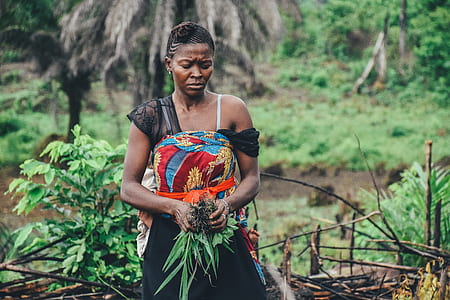 selective focus photography of woman holding green leaf plant thumbnail