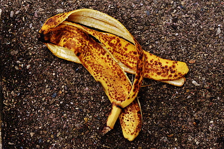 banana peel on brown surface thumbnail