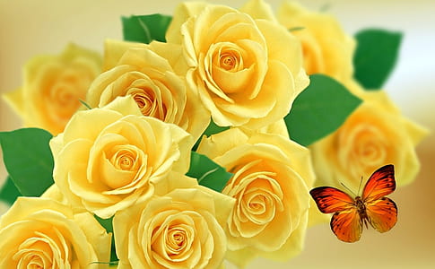 closeup photography of yellow roses and red butterfly thumbnail