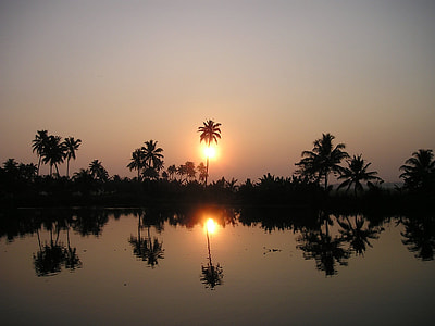 silhouette of trees beside body of water during sunset thumbnail