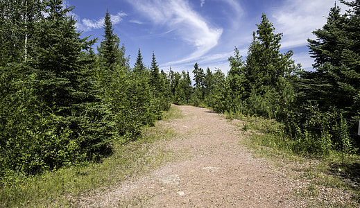 Path up the Canyon at Eagle Canyon, Ontario thumbnail