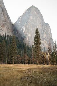 trees near rock formation thumbnail