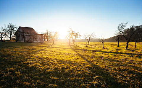 photo of brown wooden barn during daytime thumbnail