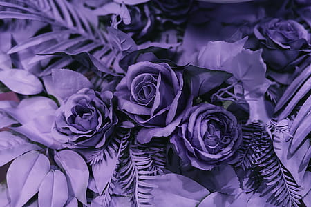 Pantone Colour Of The Year 2018: Ultra Violet thumbnail